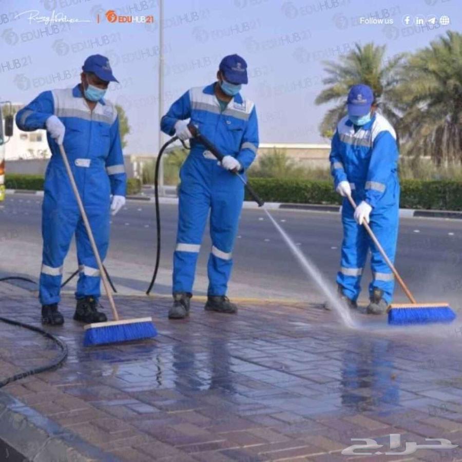 Cleaning, Maintenance, and Operation Workers64493721791617111