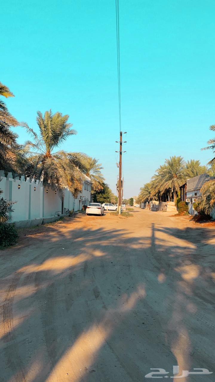 للبيع مزرعة وسكن الاحساء قرية الساباط64506263202945113