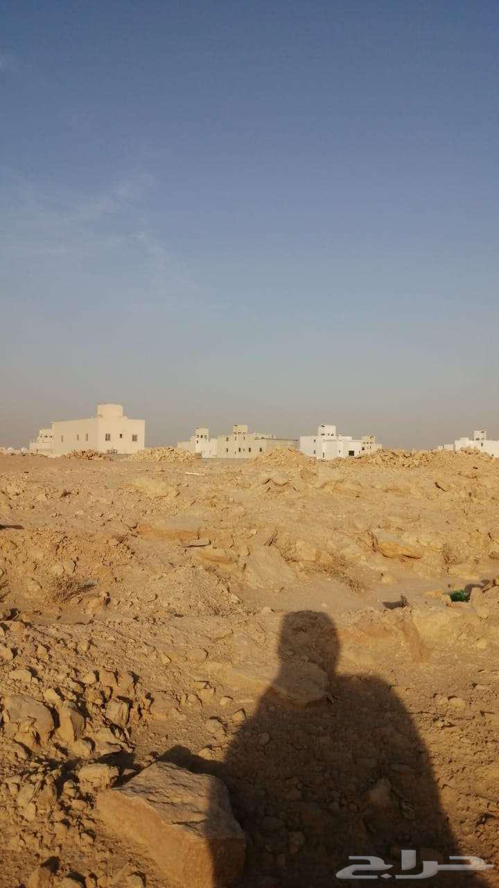 ارض للإيجار