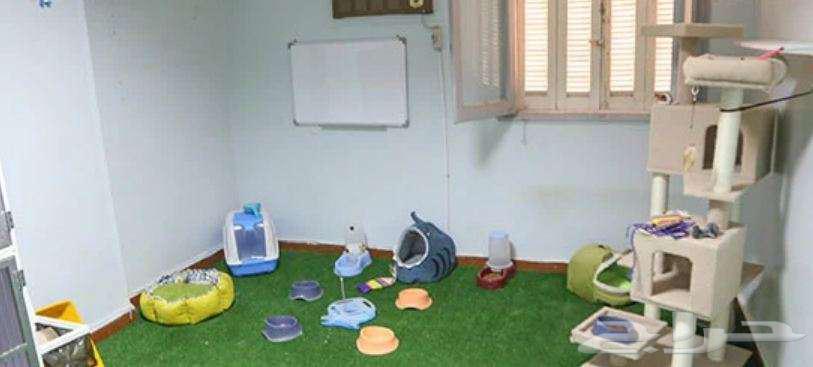 فندقة للقطط والطيور64513511006465110