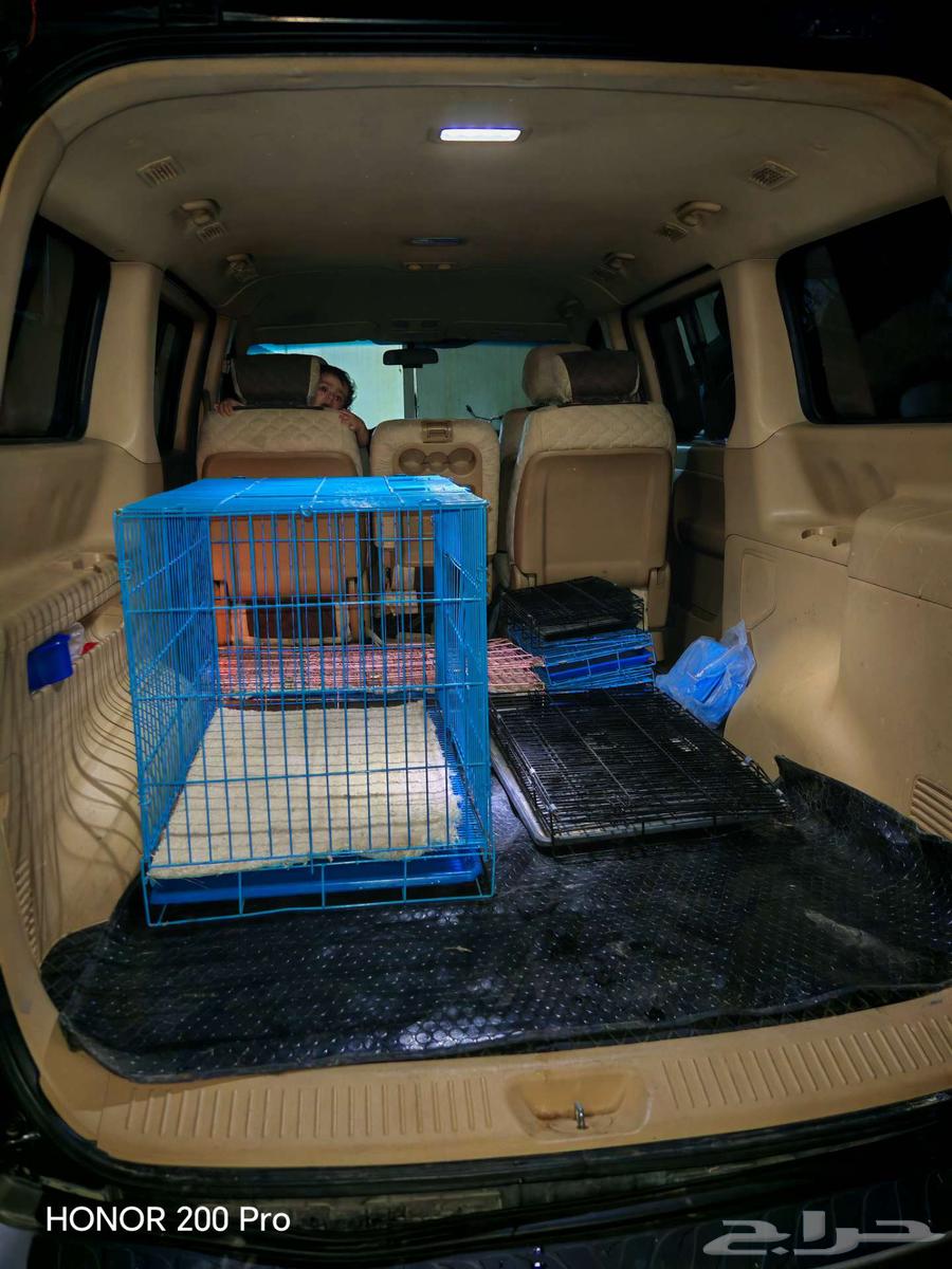 نقل الحيوانات الاليفة من الرياض للشرقية والعكس64506490874371111