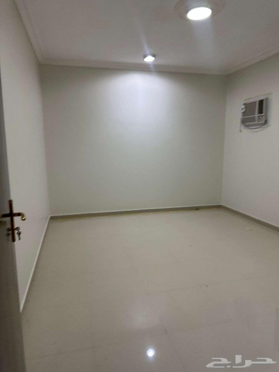 شقة للإيجار