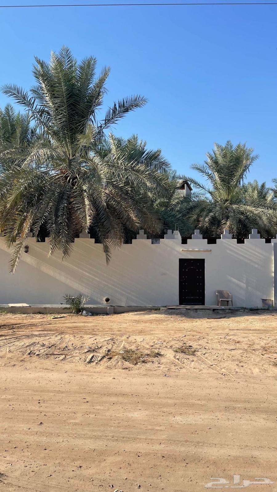 للبيع مزرعة وسكن الاحساء قرية الساباط64506263202945112