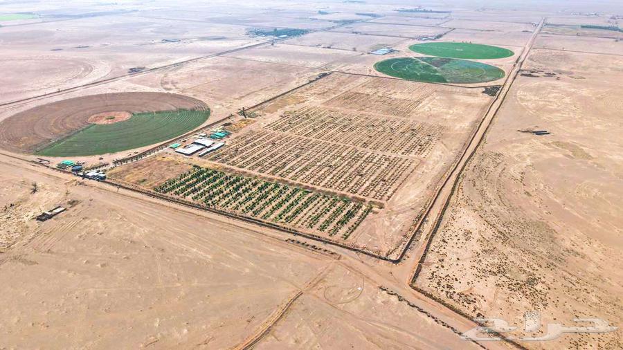 مزرعة للبيع