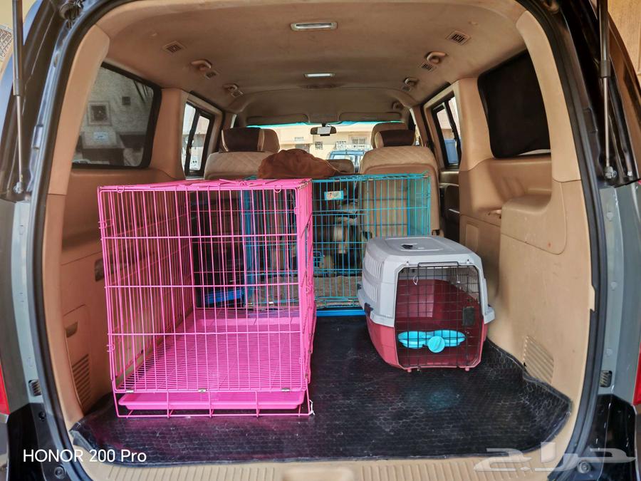 نقل الحيوانات الاليفة من الرياض للشرقية والعكس64506490874371110