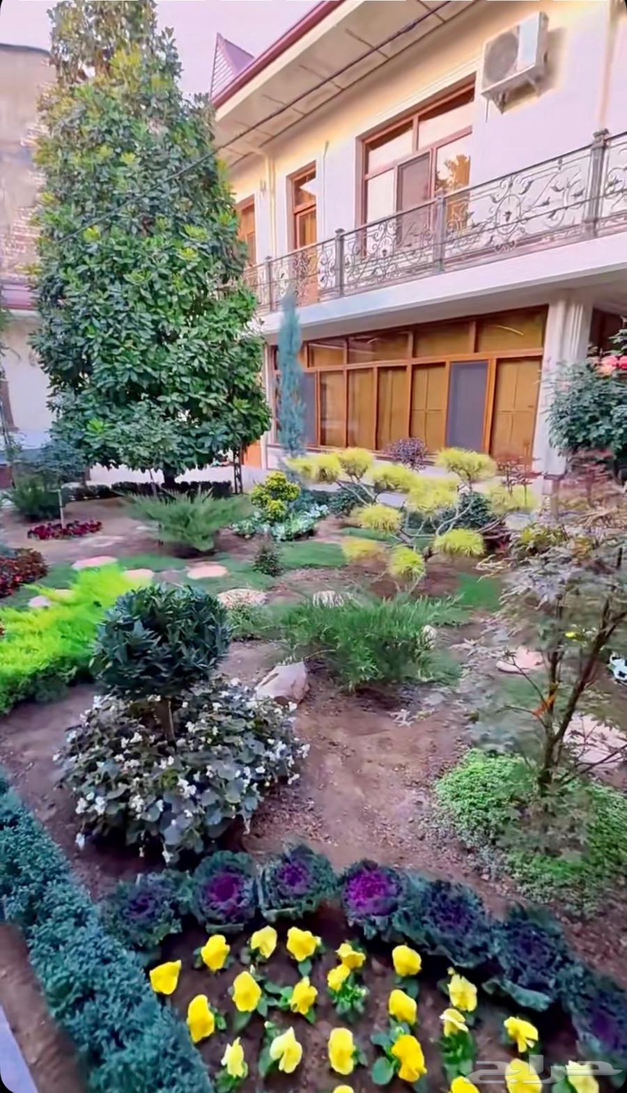Implementation of green spaces and indoor landscaping supervised by Saudis64518212334594111
