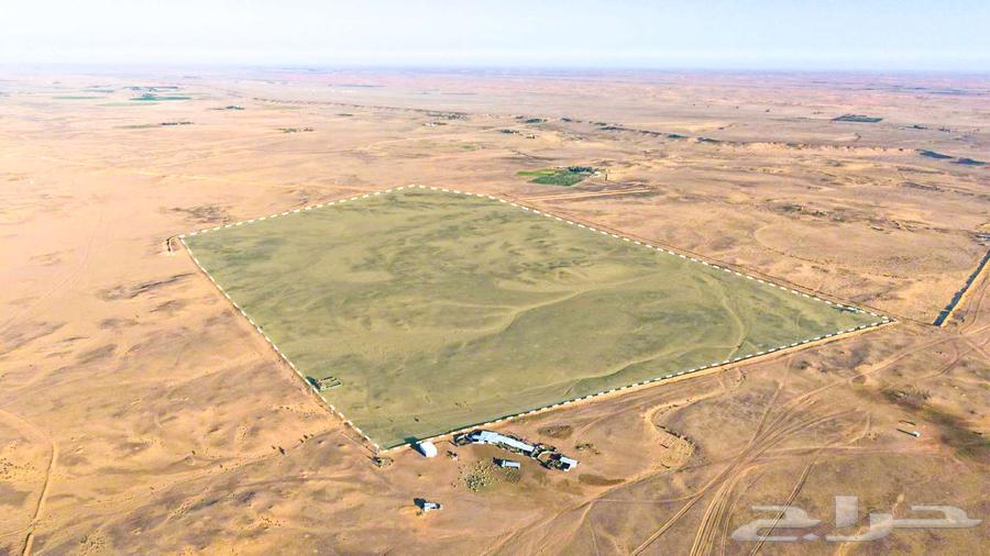 مزرعة للبيع في حائل بقعاء64518081398657111