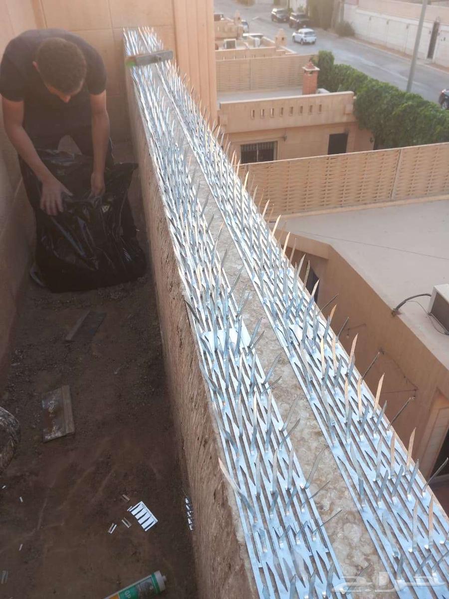 Pigeon Repeller Installation Mesh Spikes Company Pigeon Repeller Installation64593753627905111