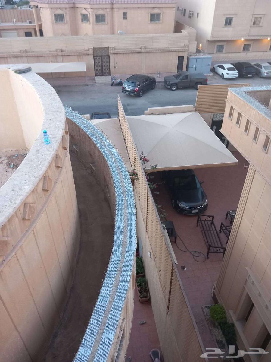 Pigeon Repeller Installation Mesh Spikes Company Pigeon Repeller Installation64593753627905113