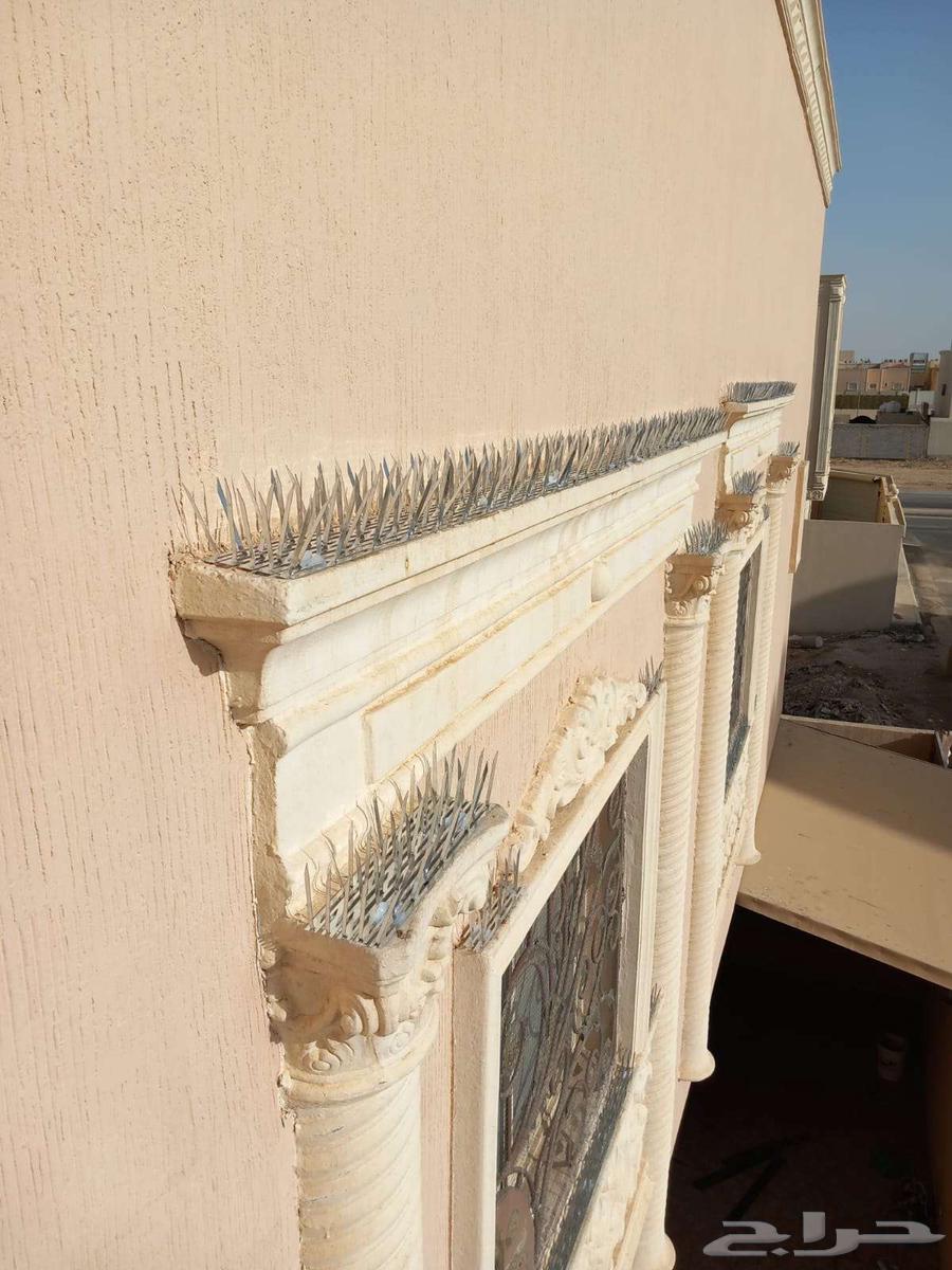 Pigeon Repeller Installation Mesh Spikes Company Pigeon Repeller Installation64593753627905114