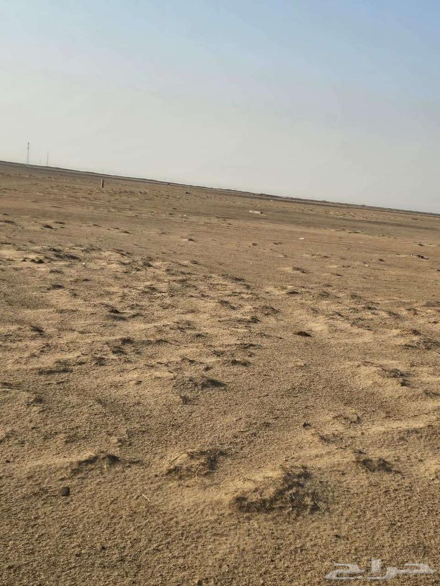 ارض للبيع في مخطط طيبة الفرعية حي الندى60264534340279170112