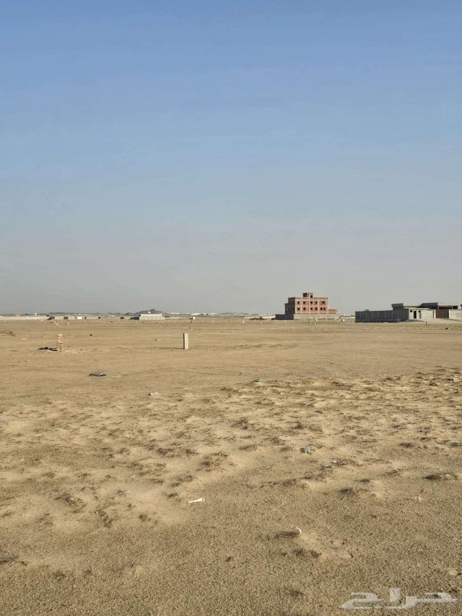 ارض للبيع في مخطط طيبة الفرعية حي الندى60264534340279170110