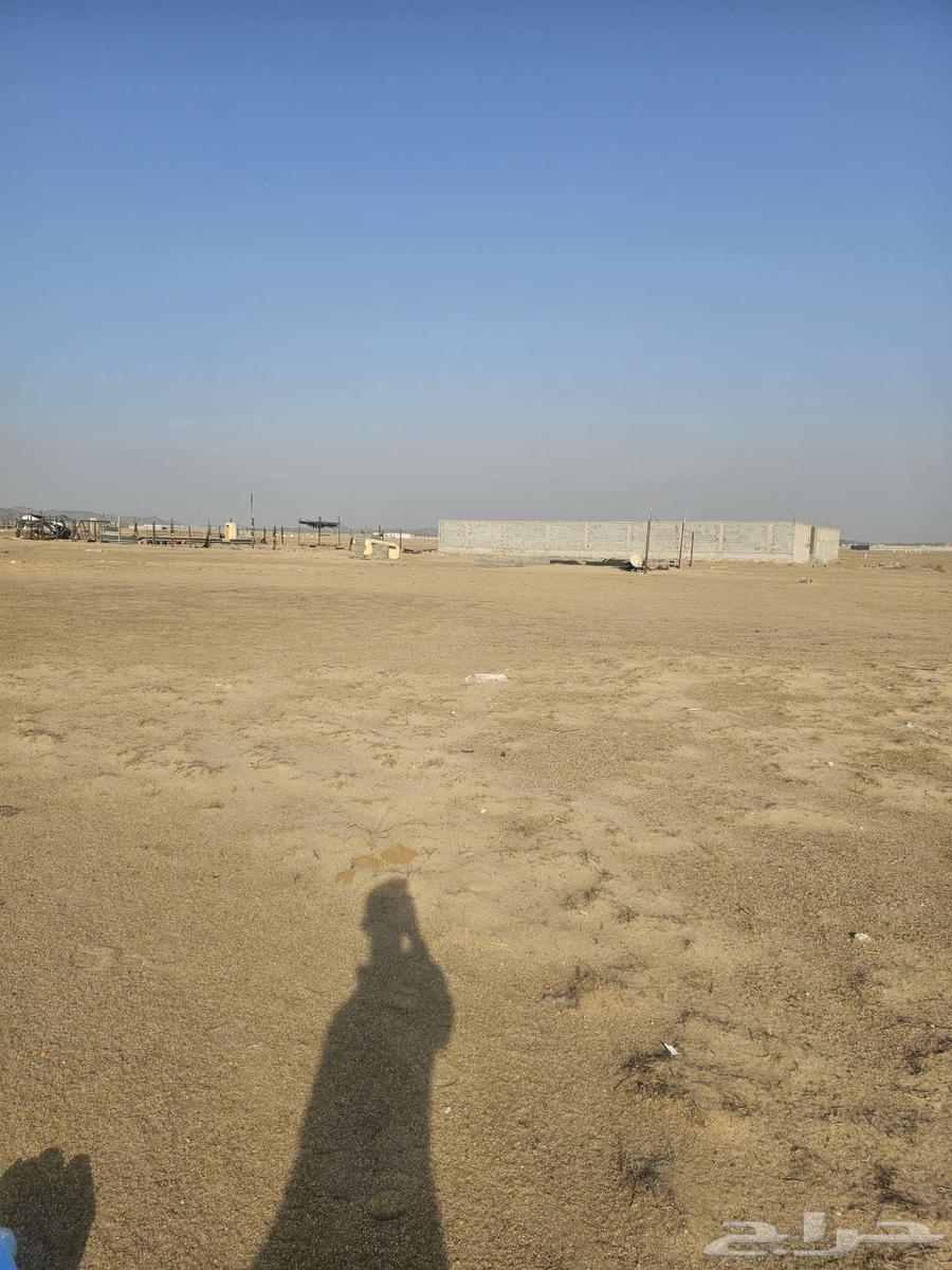 ارض للبيع في مخطط طيبة الفرعية حي الندى60264534340279170111