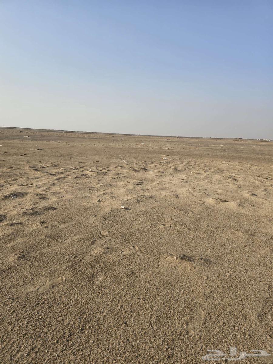 ارض للبيع في مخطط طيبة الفرعية حي الندى60264534340279170113