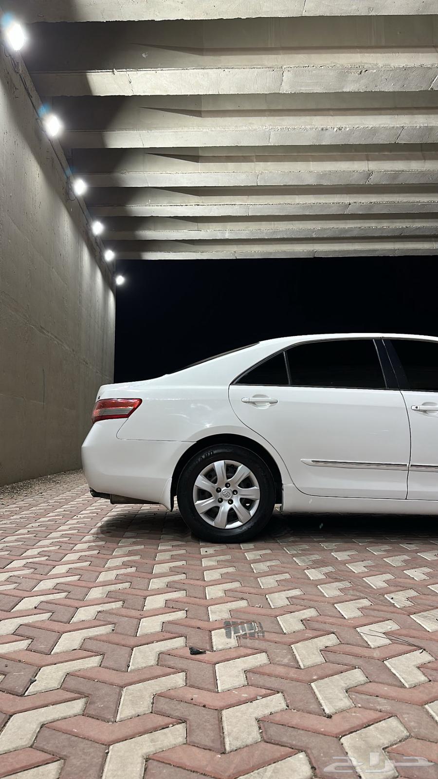 كداد راجع المدينه اليوم ولا بكره64534227127683110