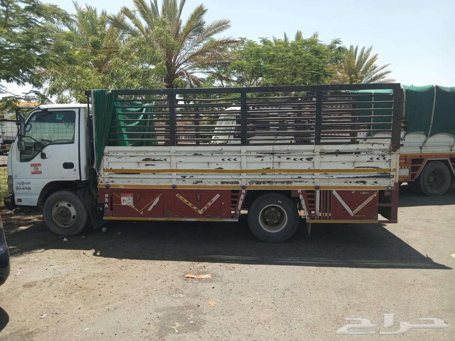 ديانه اسوزو للمشوار داخل وخارج تبوك64534227150723110