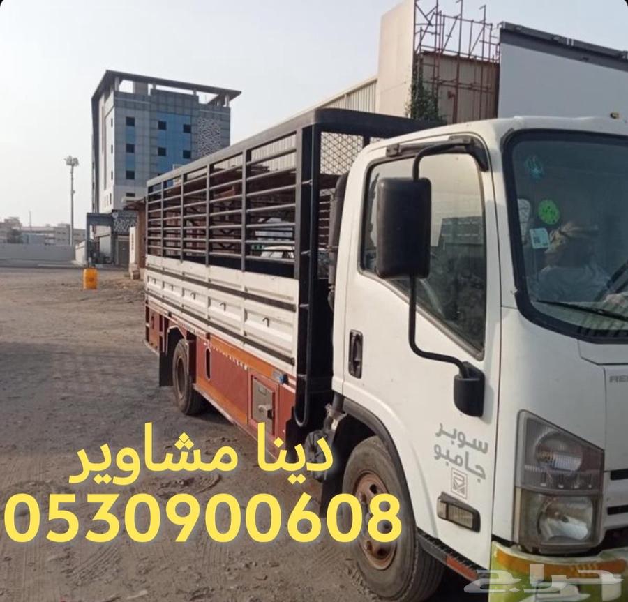 دينه نقل عفش دينا صامطة جيزان محايل64534520710787110