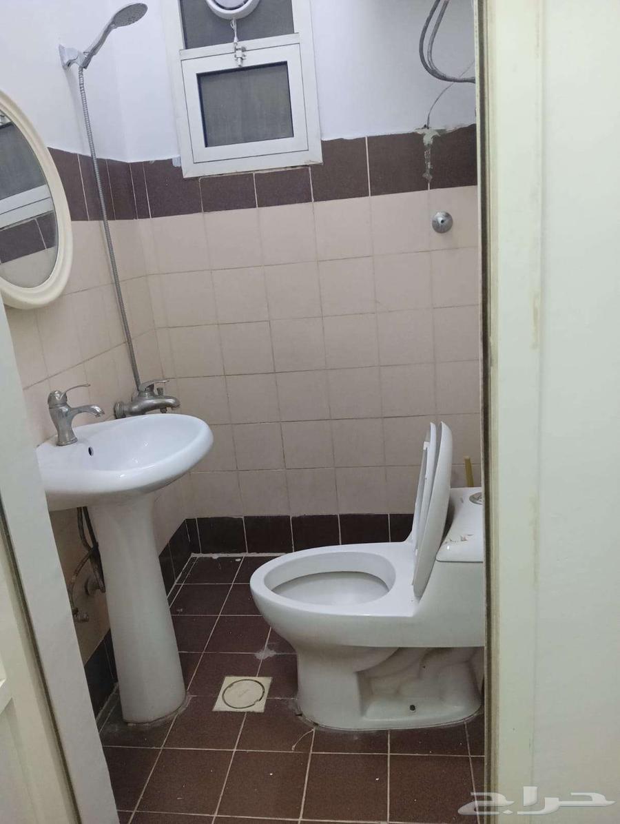 شقق عزاب شرق الرياض64545490546562114