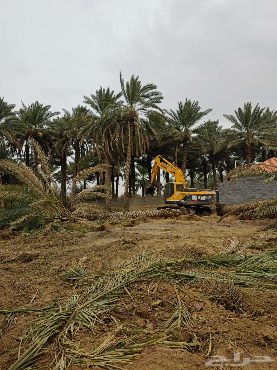 بوكلين حفار و جي سي بي للايجار اليوم64545539485058110