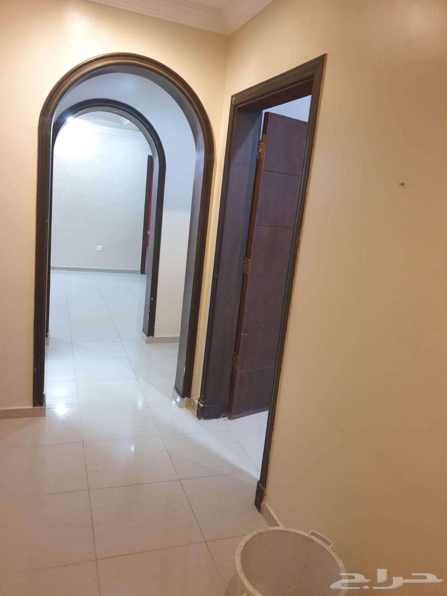 شقة واسعة في الشوقية للبيع64545490641282113