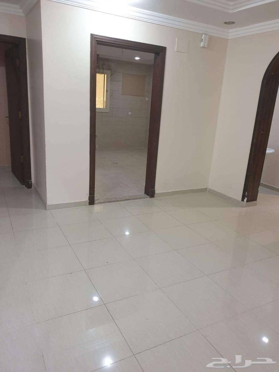 شقة واسعة في الشوقية للبيع64545490641282114