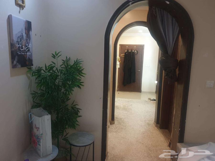 شقة واسعة في الشوقية للبيع64545490641282111