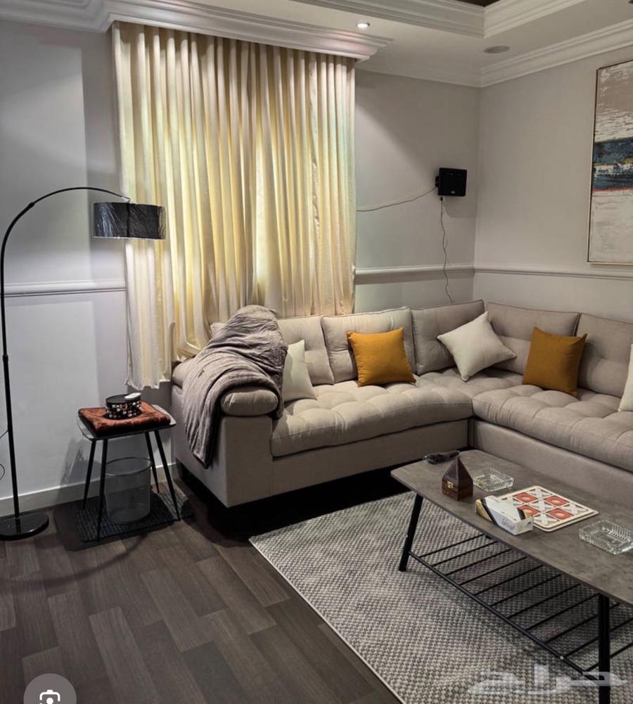 مطلوب شقة جديدة64545522963457110