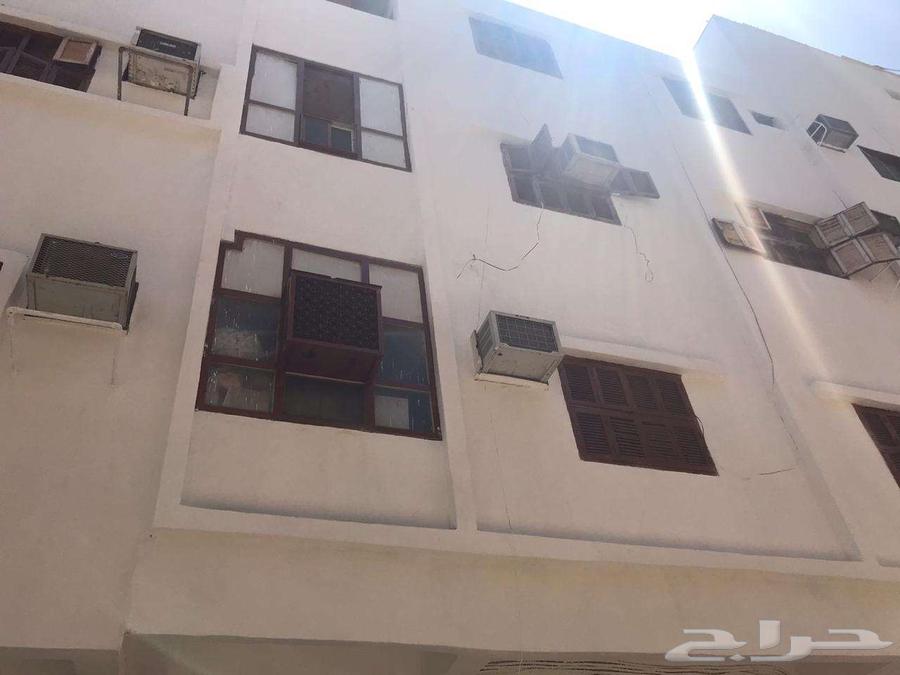 شقة للإيجار