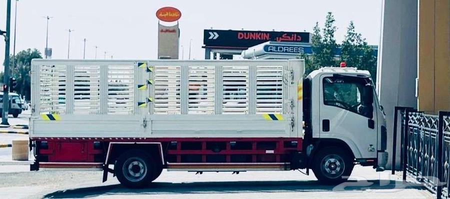 دينا للايجار للشركات و المؤساسات و المصانع يومي وشهري64572736447362111