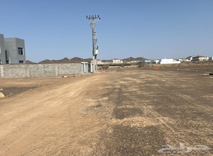 ارض في وادي الفرع ب 47 الف64563282112897112