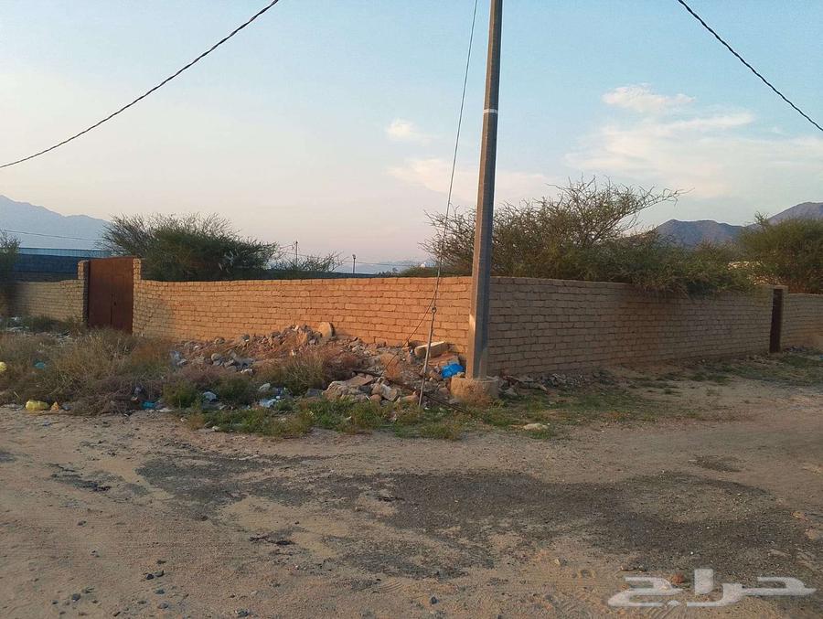 ارض للبيع