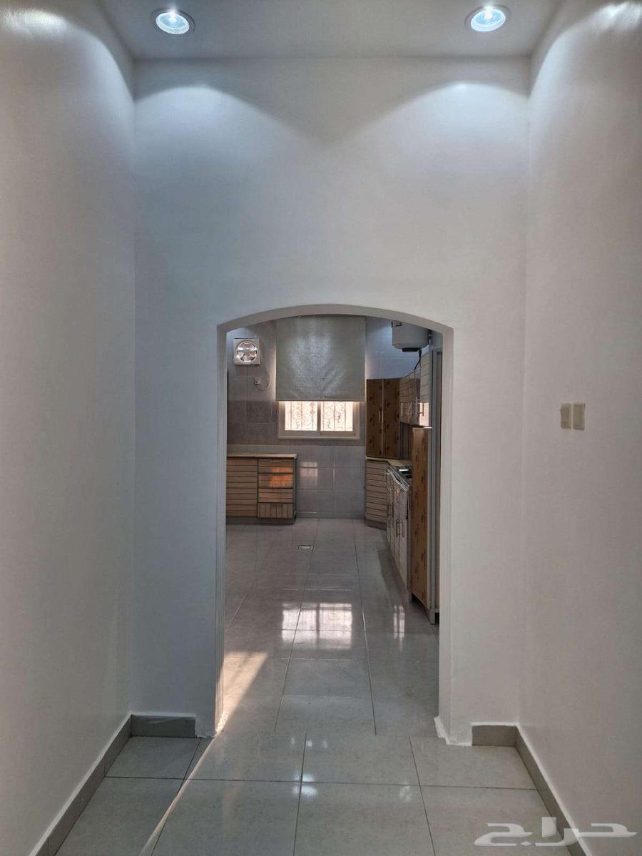 شقة للايجار أبهاء حي البديع64582469142402110