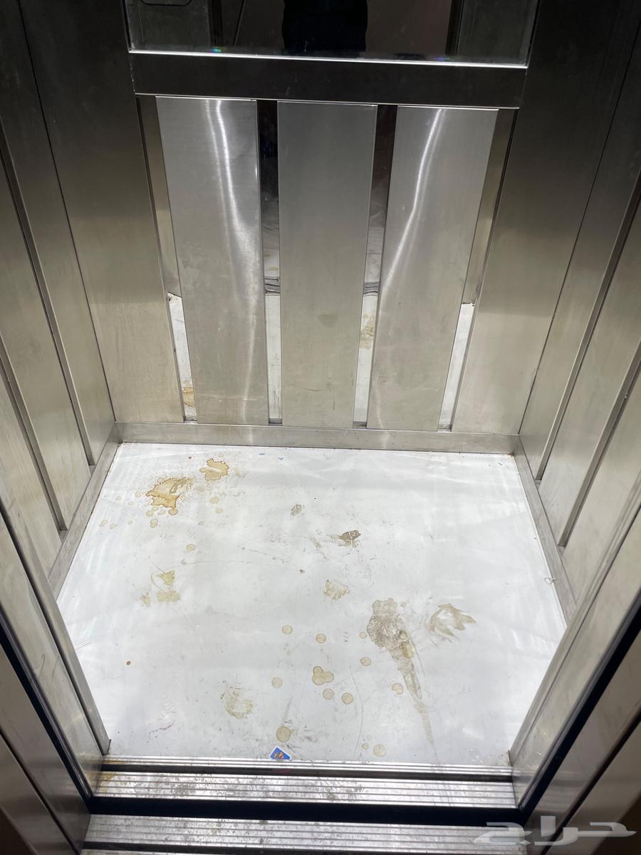 خدمات نظافة بيوت خارجية وداخلية64589713493377114