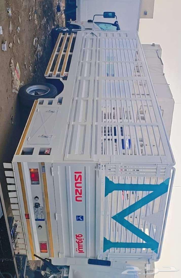 دينه اصفار جديده للاجار بشهر 6 متر معاالسائق64594244923650110