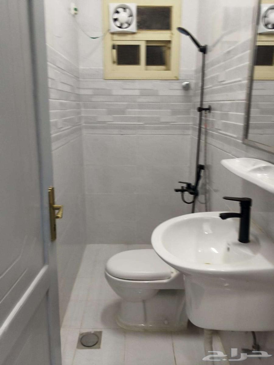 شقه للايجار بالمصيف 364594117176449113