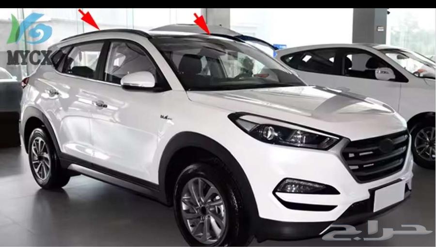 توصيل حيوانات وطيور ورسايل64594119024257110