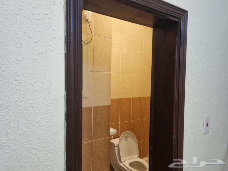 شقة من غرفتين وصالة للإيجار64594117517571110