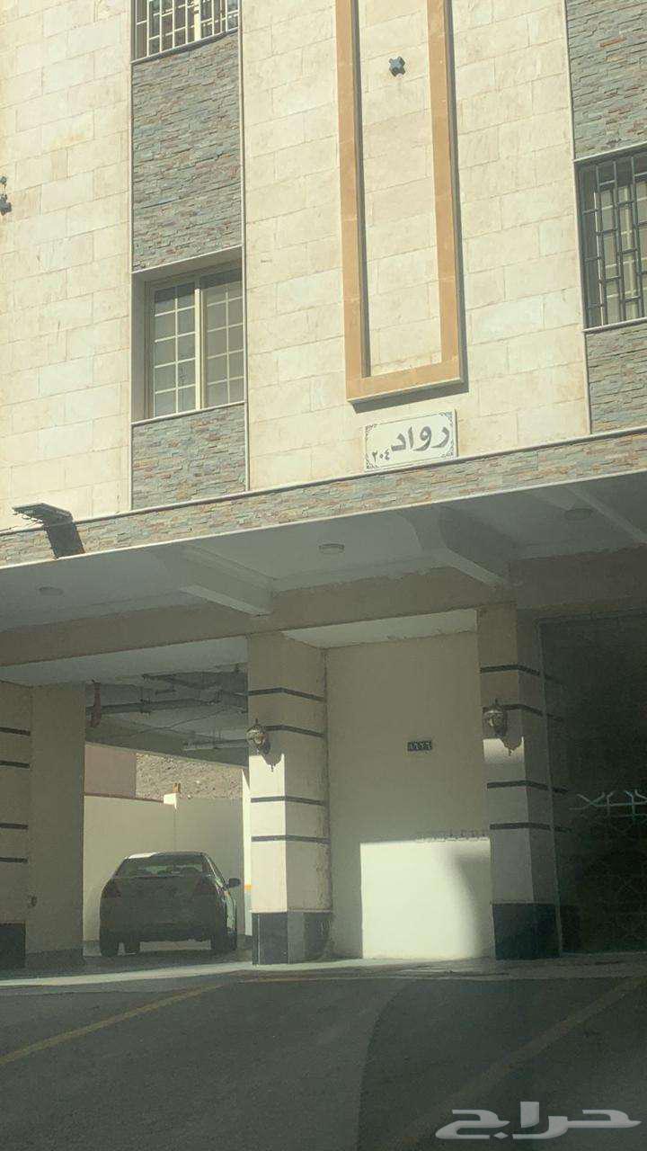 شقة للإيجار