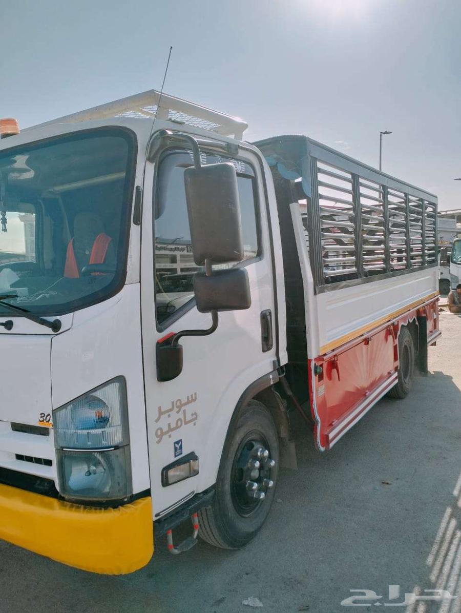 Furniture Moving in Riyadh – with Disassembly, Assembly, Packaging, and Storage64613468014594111