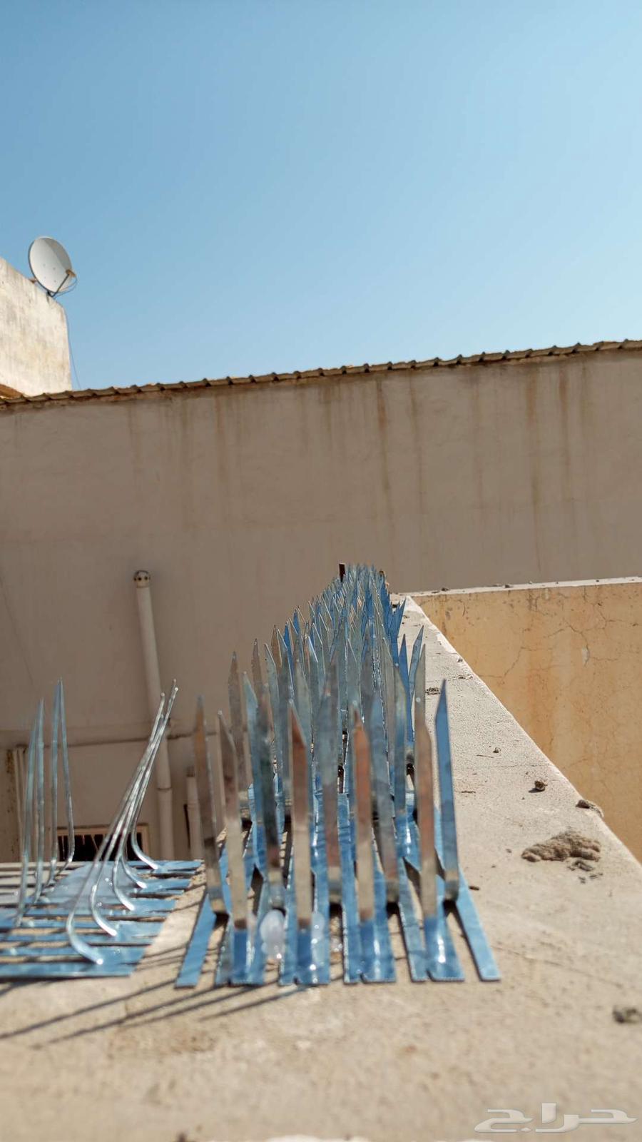 تركيب طارد حمام بالرياض تركيب شبك حمام تركيب اشواك الحمام64606403375875110