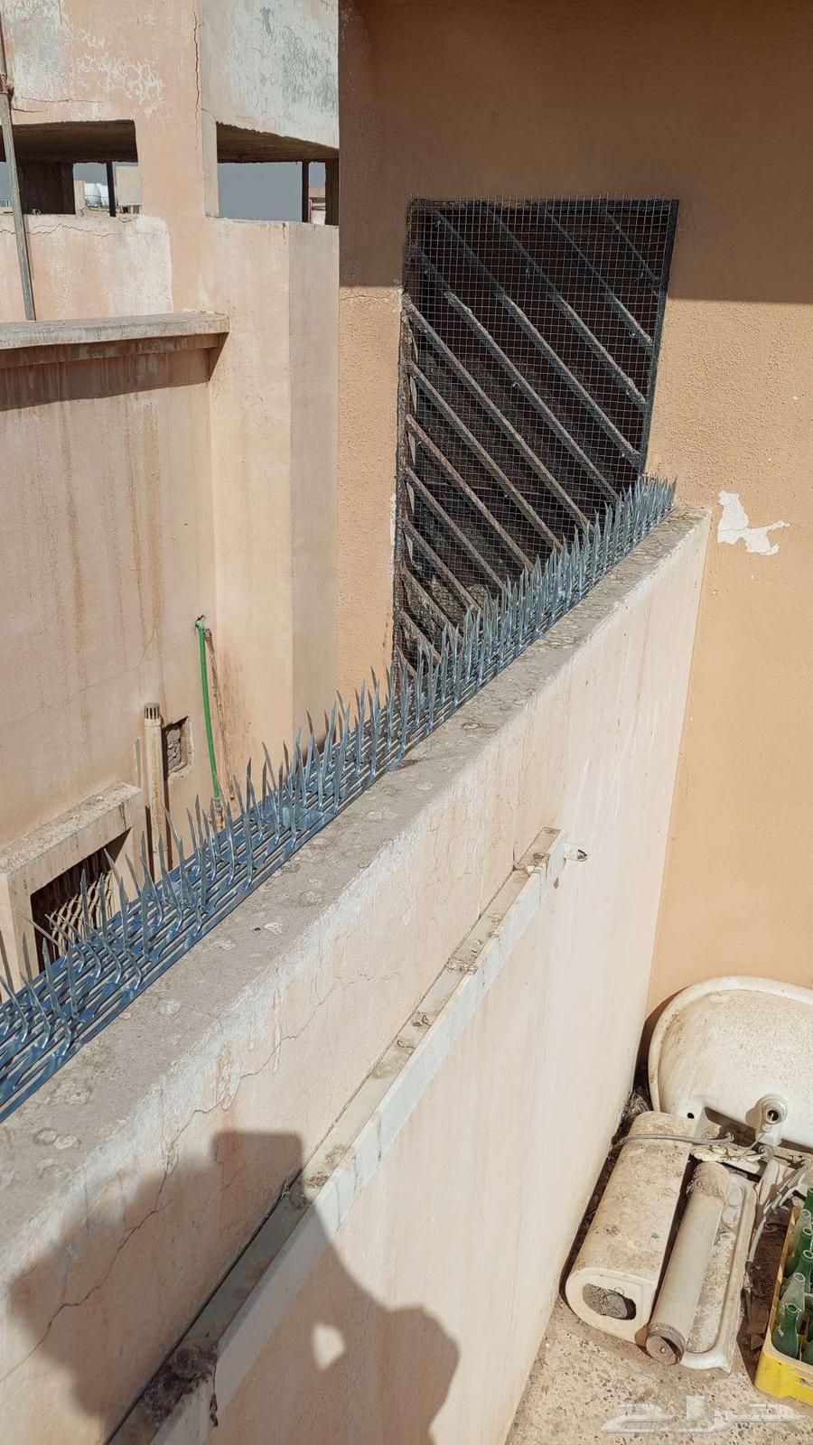 تركيب طارد حمام بالرياض تركيب شبك حمام تركيب اشواك الحمام64606403375875114