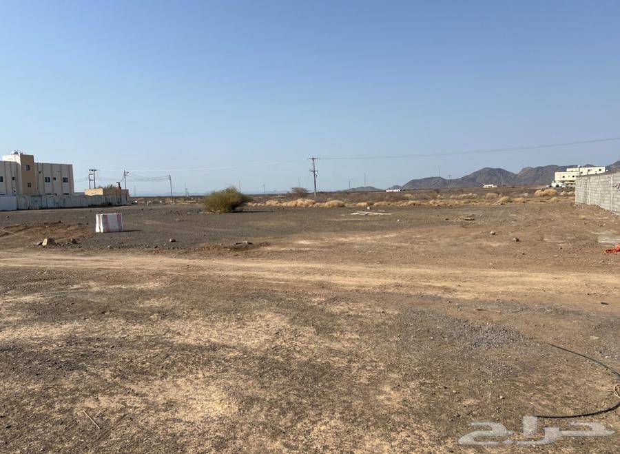 ارض في وادي الفرع ب 47 الف64618932651138111