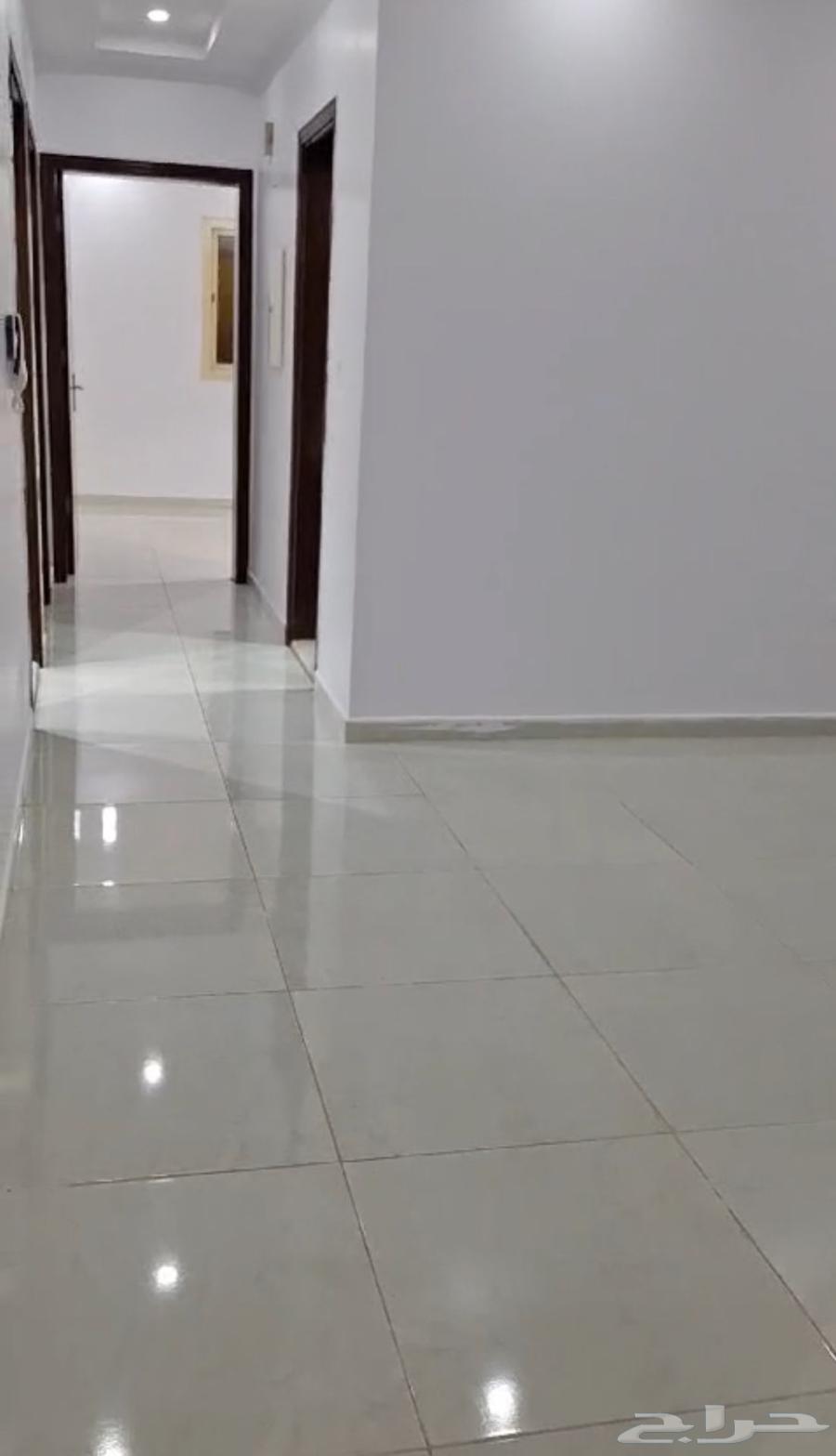 شقة للإيجار